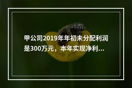 甲公司2019年年初未分配利润是300万元，本年实现净利润5