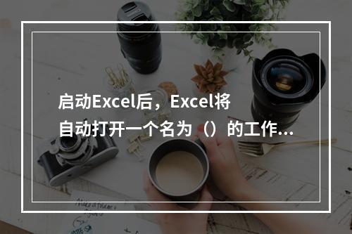 启动Excel后，Excel将自动打开一个名为（）的工作簿。