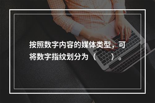 按照数字内容的媒体类型，可将数字指纹划分为（　　）。