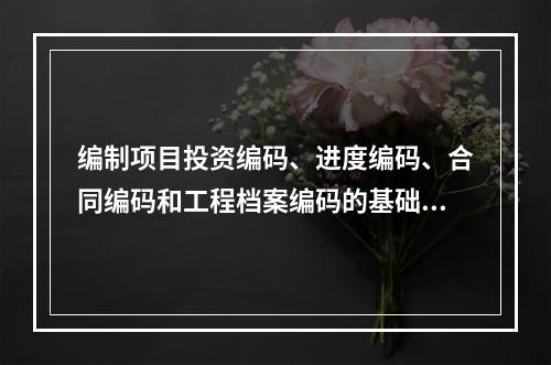 编制项目投资编码、进度编码、合同编码和工程档案编码的基础是（