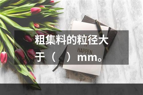 粗集料的粒径大于（　）mm。