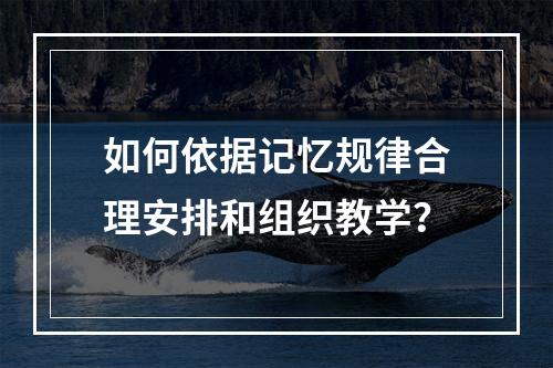 如何依据记忆规律合理安排和组织教学？