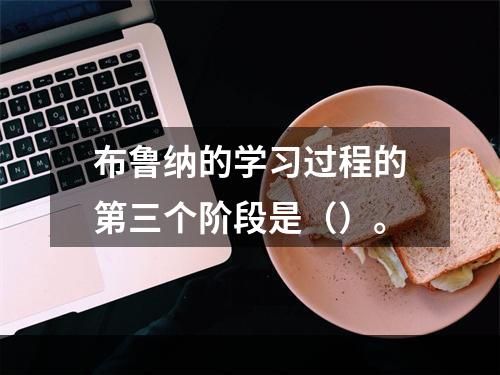 布鲁纳的学习过程的第三个阶段是（）。