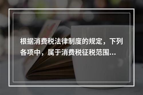 根据消费税法律制度的规定，下列各项中，属于消费税征税范围的有