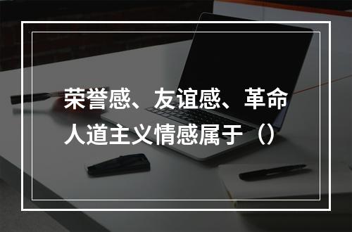 荣誉感、友谊感、革命人道主义情感属于（）