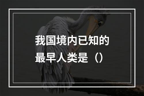 我国境内已知的最早人类是（）