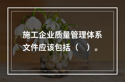 施工企业质量管理体系文件应该包括（　）。