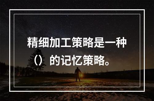 精细加工策略是一种（）的记忆策略。