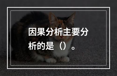 因果分析主要分析的是（）。