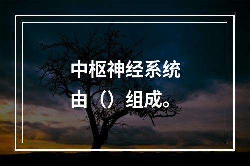 中枢神经系统由（）组成。