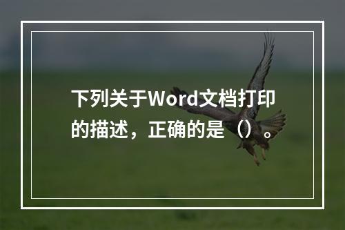 下列关于Word文档打印的描述，正确的是（）。