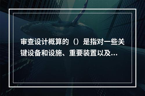 审查设计概算的（）是指对一些关键设备和设施、重要装置以及图纸