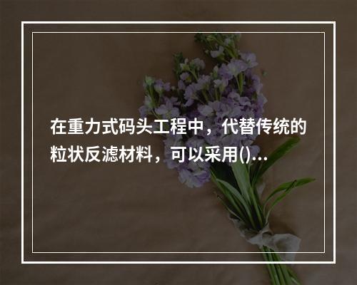 在重力式码头工程中，代替传统的粒状反滤材料，可以采用()作为