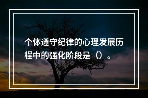 个体遵守纪律的心理发展历程中的强化阶段是（）。