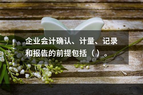 企业会计确认、计量、记录和报告的前提包括（ ）。