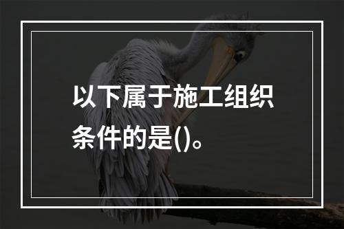 以下属于施工组织条件的是()。