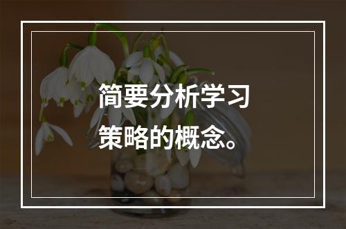 简要分析学习策略的概念。