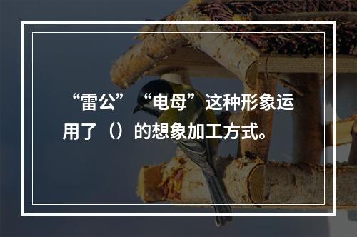 “雷公”“电母”这种形象运用了（）的想象加工方式。