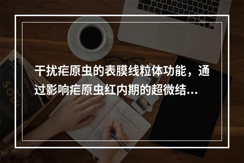 干扰疟原虫的表膜线粒体功能，通过影响疟原虫红内期的超微结构，