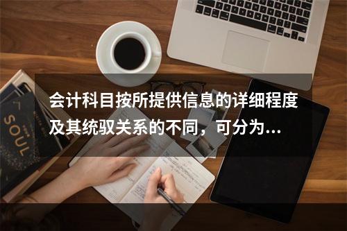 会计科目按所提供信息的详细程度及其统驭关系的不同，可分为（