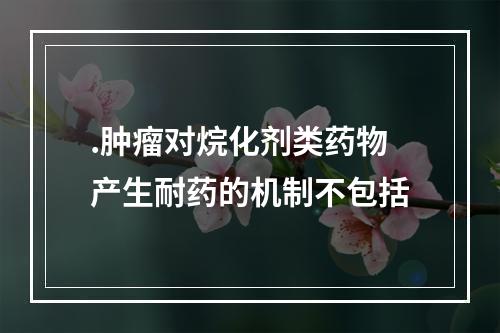 .肿瘤对烷化剂类药物产生耐药的机制不包括