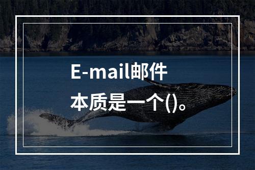 E-mail邮件本质是一个()。