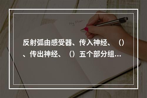 反射弧由感受器、传入神经、（）、传出神经、（）五个部分组成。