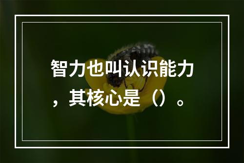 智力也叫认识能力，其核心是（）。