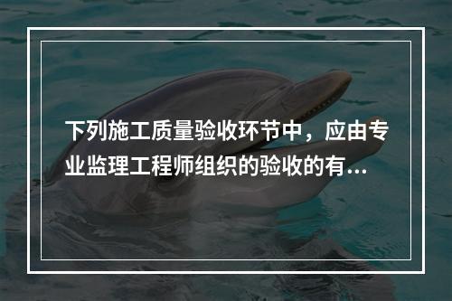 下列施工质量验收环节中，应由专业监理工程师组织的验收的有（　