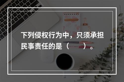 下列侵权行为中，只须承担民事责任的是（　　）。