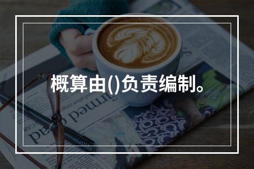 概算由()负责编制。