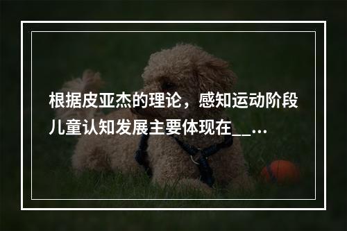 根据皮亚杰的理论，感知运动阶段儿童认知发展主要体现在____