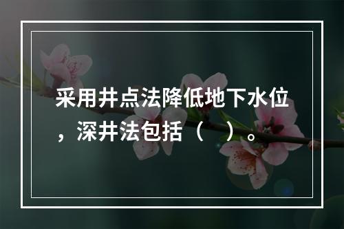 采用井点法降低地下水位，深井法包括（　）。