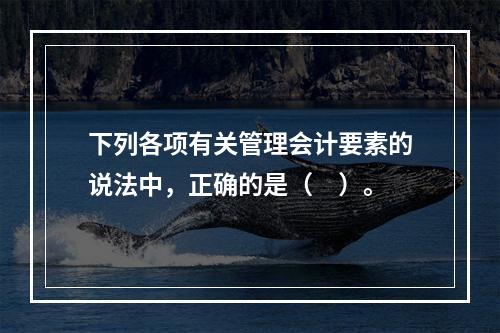 下列各项有关管理会计要素的说法中，正确的是（　）。