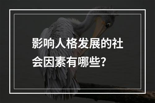 影响人格发展的社会因素有哪些？