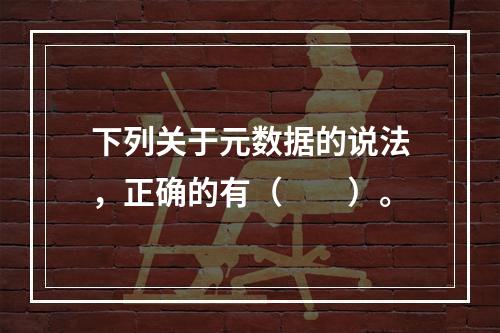 下列关于元数据的说法，正确的有（　　）。