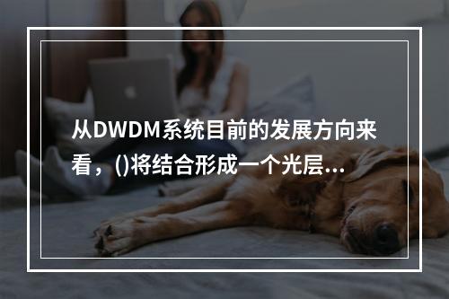 从DWDM系统目前的发展方向来看，()将结合形成一个光层网络