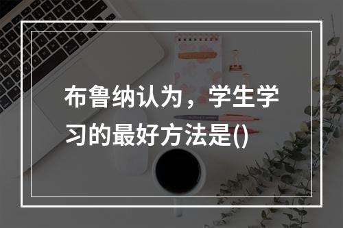 布鲁纳认为，学生学习的最好方法是()