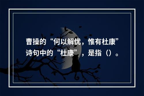 曹操的“何以解忧，惟有杜康”诗句中的“杜康”，是指（）。