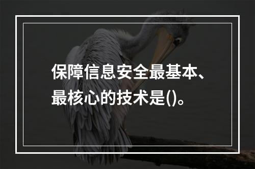 保障信息安全最基本、最核心的技术是()。