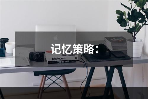 记忆策略：