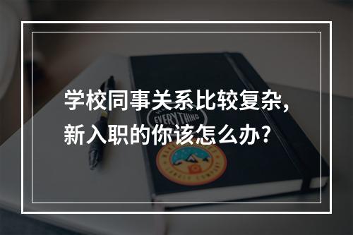 学校同事关系比较复杂,新入职的你该怎么办?