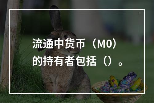 流通中货币（M0）的持有者包括（）。