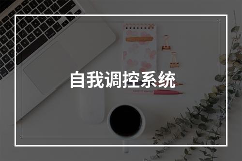 自我调控系统