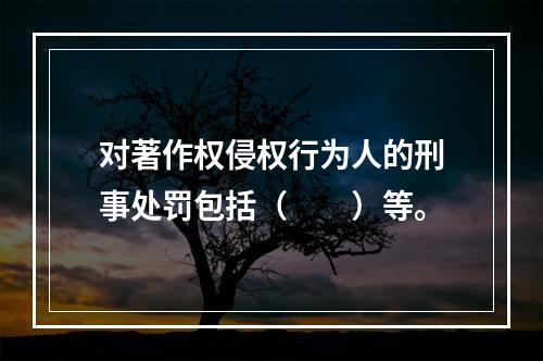 对著作权侵权行为人的刑事处罚包括（　　）等。