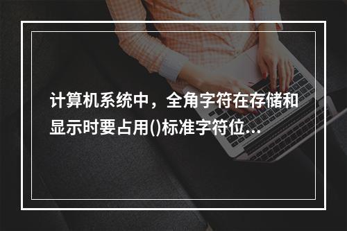 计算机系统中，全角字符在存储和显示时要占用()标准字符位。