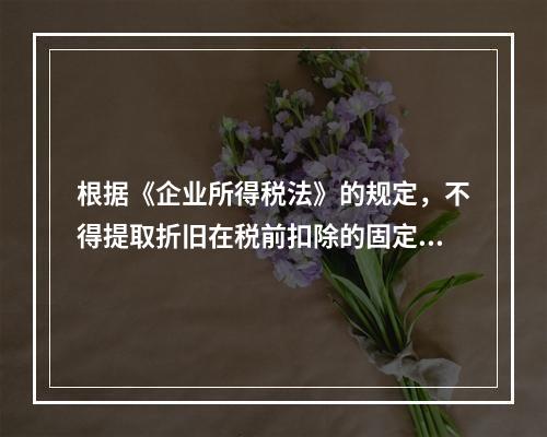 根据《企业所得税法》的规定，不得提取折旧在税前扣除的固定资产