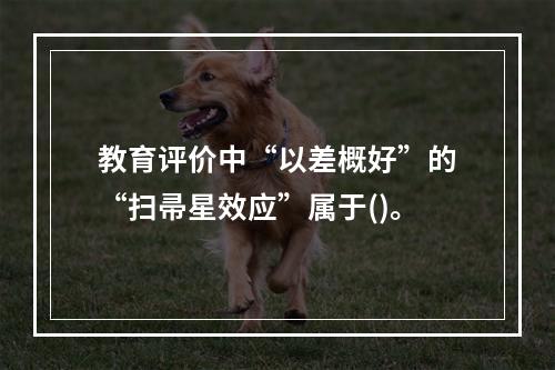 教育评价中“以差概好”的“扫帚星效应”属于()。