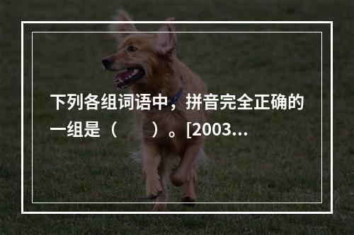 下列各组词语中，拼音完全正确的一组是（　　）。[2003年