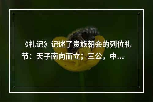 《礼记》记述了贵族朝会的列位礼节：天子南向而立；三公，中阶之